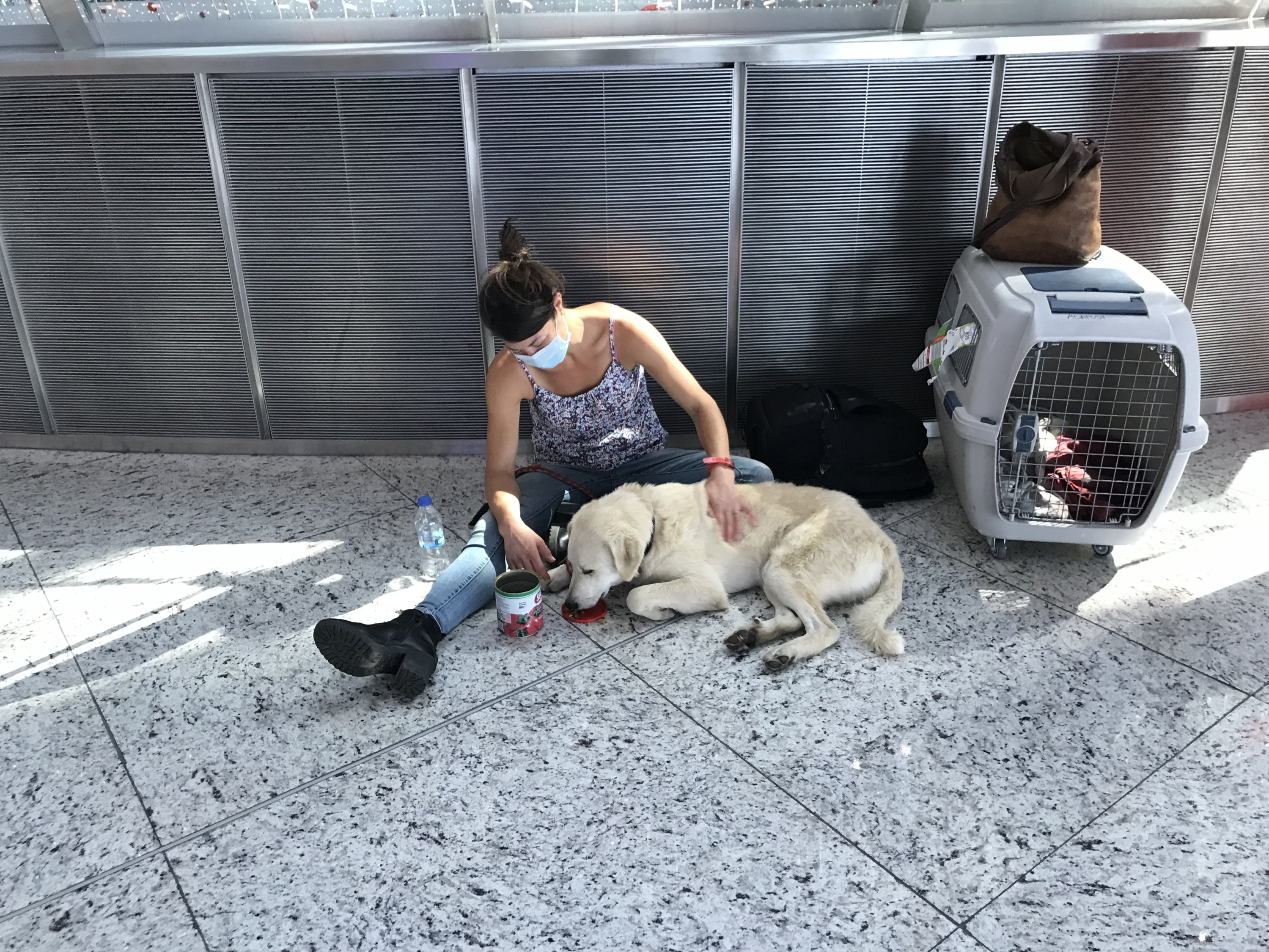 Istanbul Airport has set up a check-in counter and a special room for pets. (AA Photo)