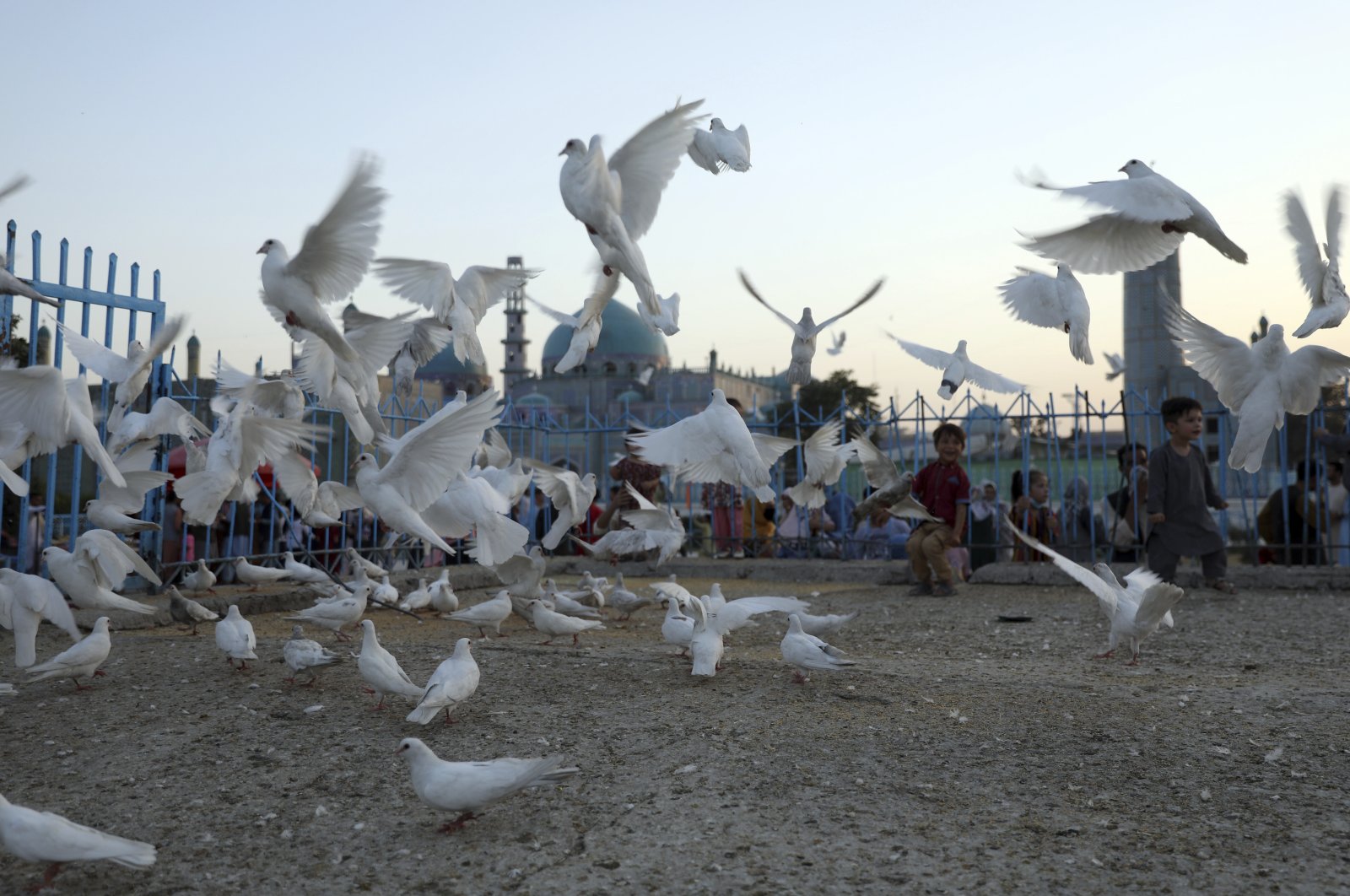 Afghan children play with pigeons in the courtyard of the Hazrat-e-Ali shrine, or Blue Mosque, in Mazar-e-Sharif, north of Kabul, Afghanistan, July 7, 2021. (AP Photo)