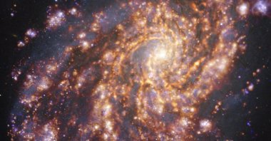 This image made available by the European Southern Observatory on July 16, 2021, and taken as part of the Physics at High Angular resolution in Nearby GalaxieS (PHANGS) project, which is making high-resolution observations of nearby galaxies with telescopes operating across the electromagnetic spectrum, shows the nearby galaxy NGC 4254,  obtained by combining observations taken with the Multi-Unit Spectroscopic Explorer (MUSE) on the ESO Very Large Telescope and with the Atacama Large Millimeter/submillimeter Array (ALMA), in which ESO is a partner.  (Photo by Handout / European Southern Observatory via AFP)