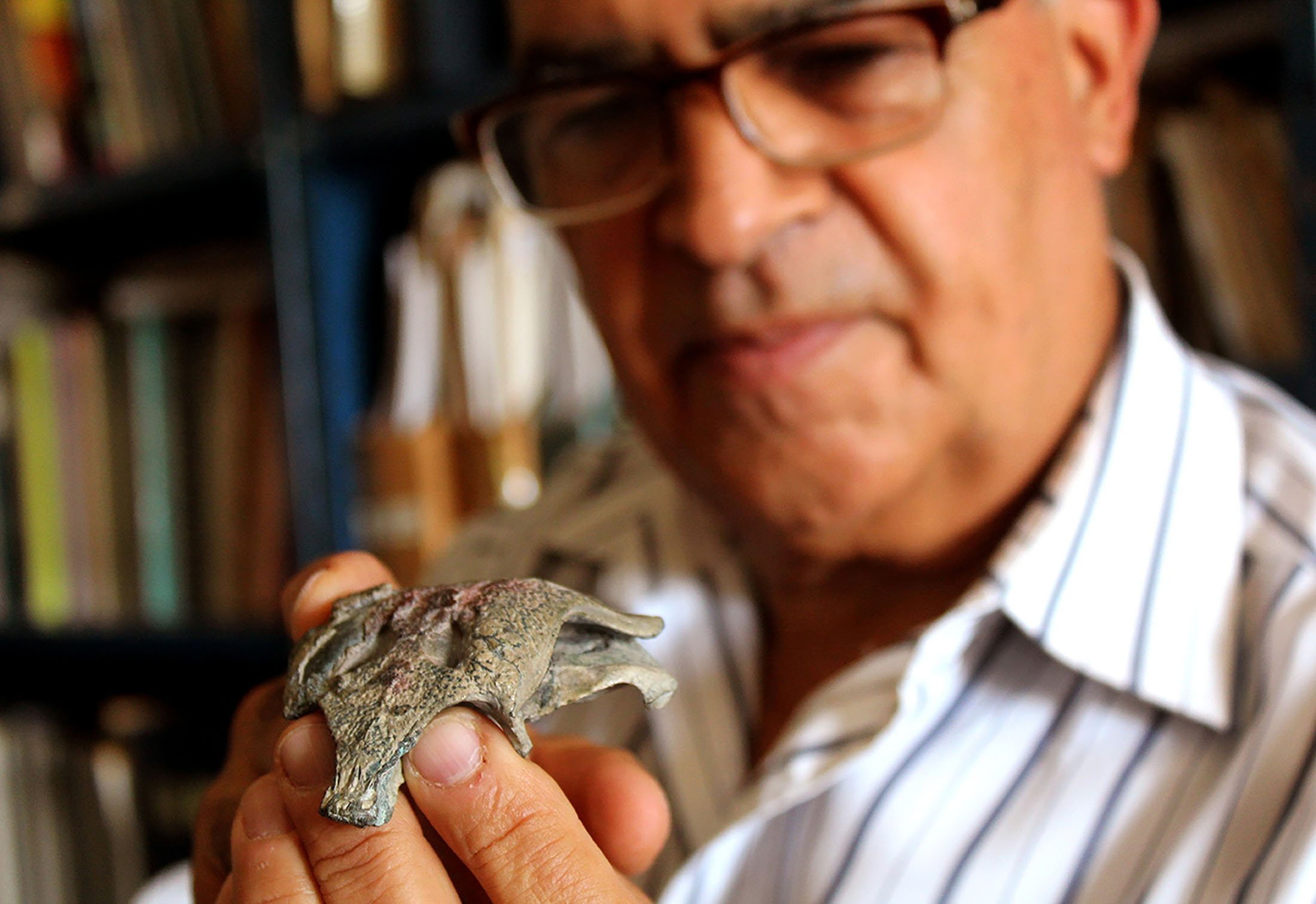 Paleontologist Fernando Novas holds the fossil skull of the Burkesuchus mallingrandensis, which could shed light on the origin of modern crocodiles, in Buenos Aires, Argentina, March 9, 2021. (Reuters Photo)