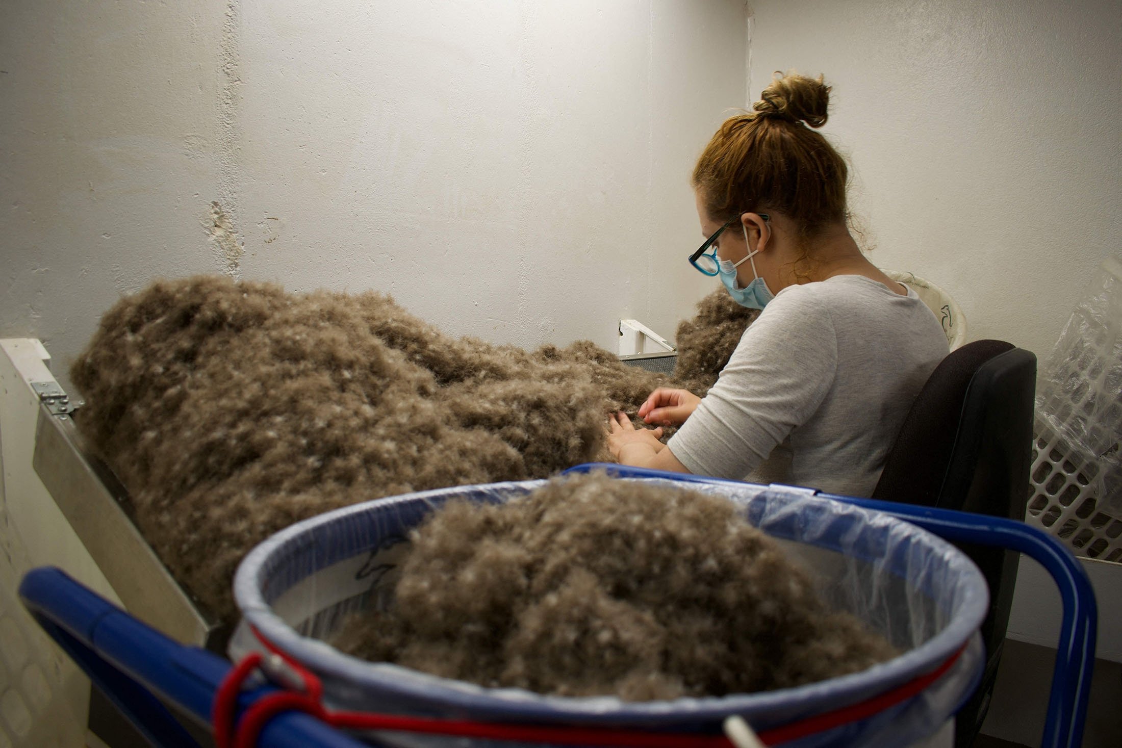A woman wearing a face mask hand cleans the remaining feathers off the eiderdown, at the King Eider company in Stykkisholmur, Iceland, July 5, 2021. (AFP Photo)