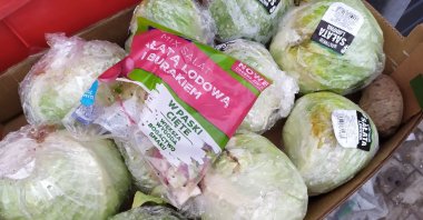 Edible iceberg lettuce thrown into a trash container outside a local supermarket in Błonie, Mazowieckie, Poland, Dec. 24, 2020. (Shuttershock)