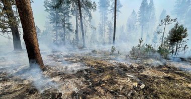 A smoldering fireline from the Bootleg Fire near Klamath Falls, Oregon, the U.S., on July 17, 2021. (US Forest Service via AFP)