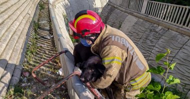 Firefighters carry a dog to safety after he is stranded on the bank of a stream in Sancaktepe district, in Istanbul, Turkey, May 27, 2021. (COURTESY OF FIRE DEPARTMENT OF ISTANBUL METROPOLITAN MUNICIPALITY) 