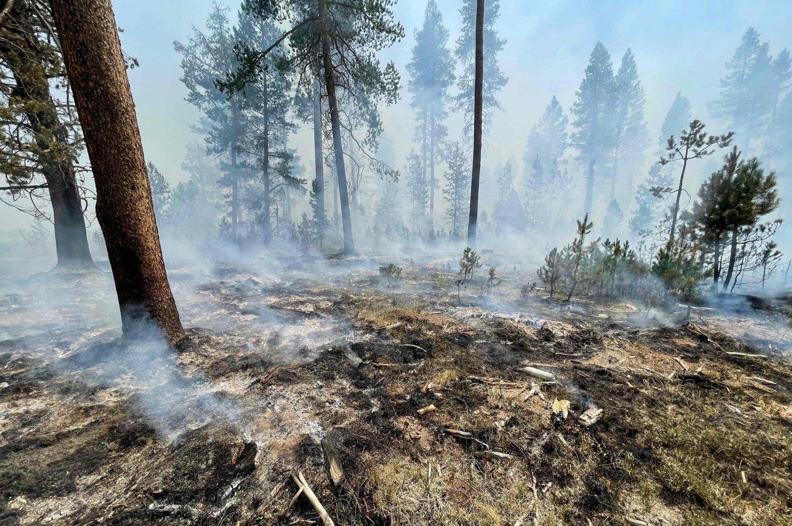 A smoldering fireline from the Bootleg Fire near Klamath Falls, Oregon, the U.S., on July 17, 2021. (US Forest Service via AFP)