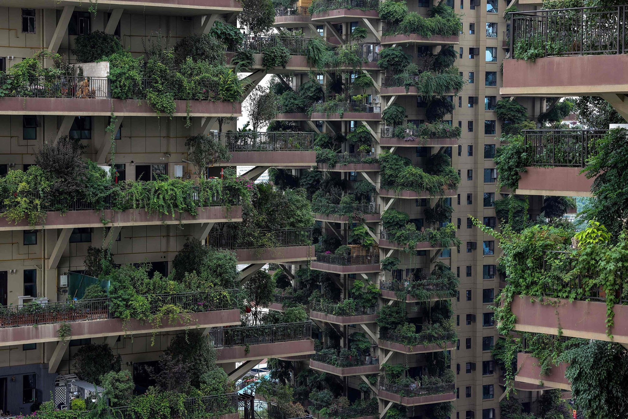 Apartments with balconies covered with plants at a residential community can be seen in Chengdu in China