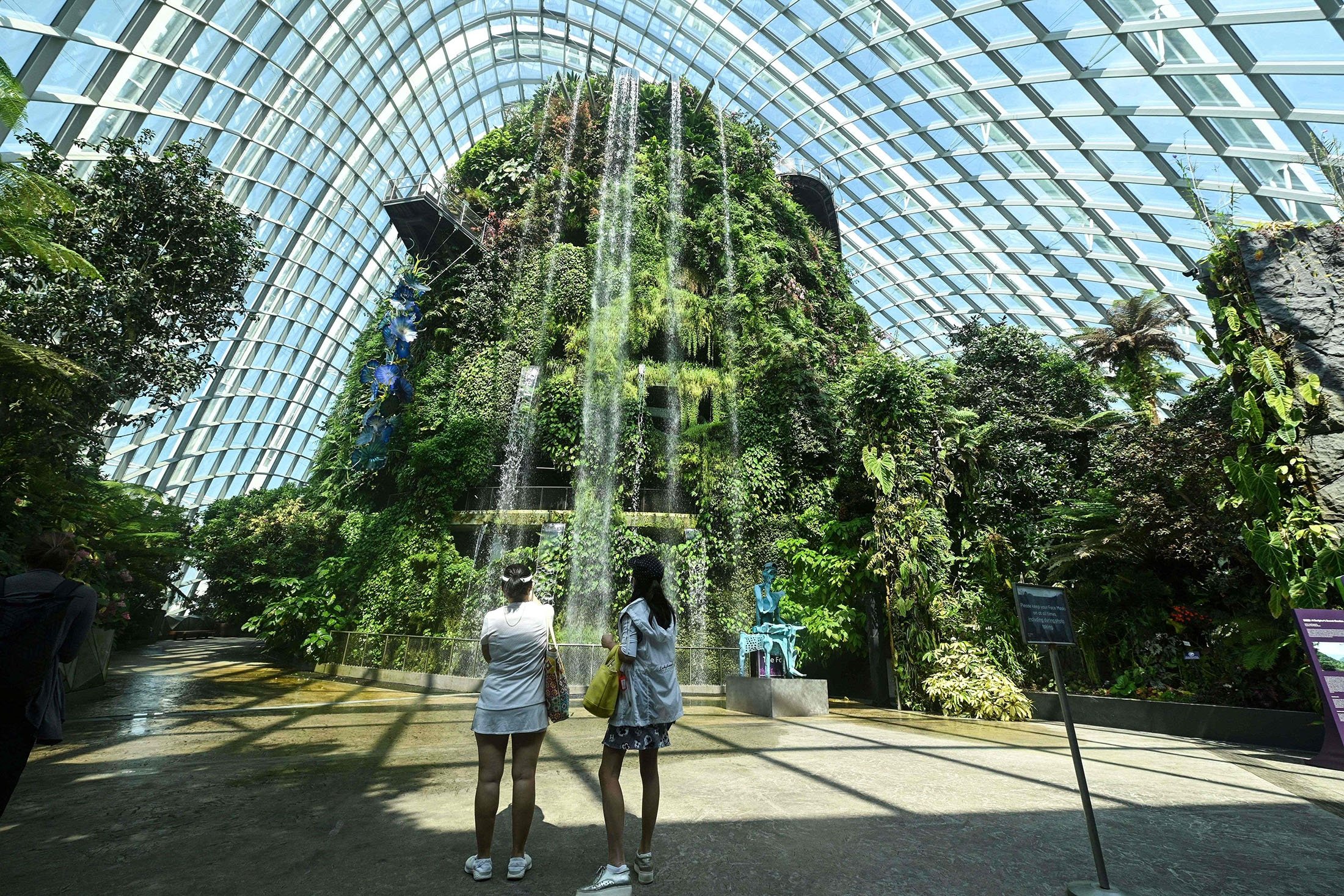 A view inside the Cloud Forest at Gardens by the Bay in Singapore, July 26, 2021. (AFP Photo)