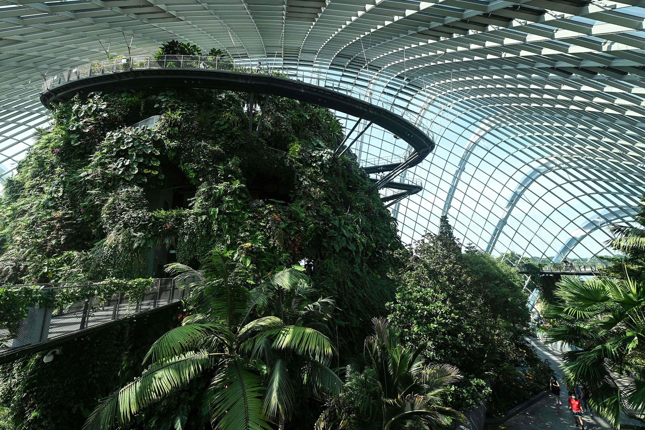 A view inside the Cloud Forest at Gardens by the Bay in Singapore, July 26, 2021. (AFP Photo)
