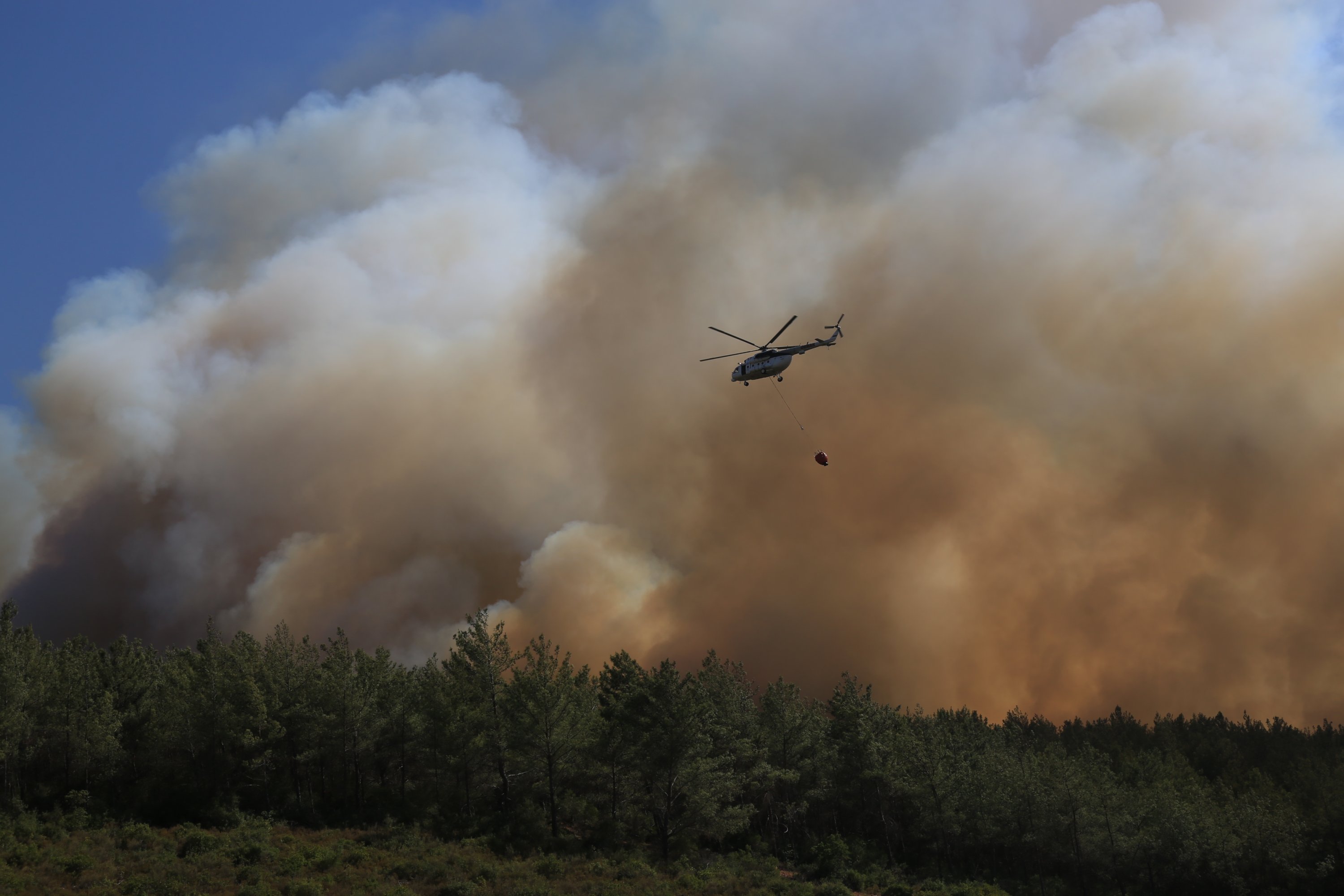 A forest fire burns in Milas district of Muğla province, southwestern Turkey, July 29, 2021. (AA Photo)