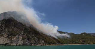 A forest fire burns near the town of Manavgat, east of the resort city of Antalya, Turkey, July 29, 2021 (Reuters Photo)