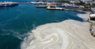 Sea snot on the surface off the coast of Bostancı, in Istanbul, Turkey, June 26, 2021. (AA PHOTO) 