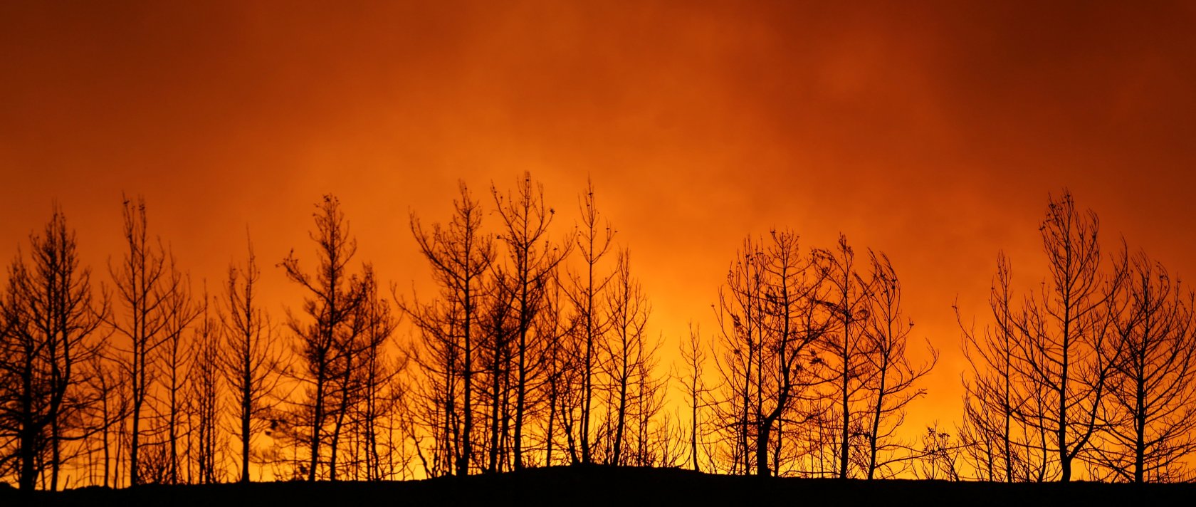 A forest fire burns near the town of Manavgat, east of the resort city of Antalya, Turkey, July 29, 2021. (Reuters Photo)