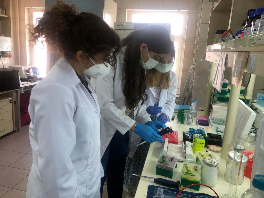 Researchers working on an adenovirus vaccine at a laboratory in the capital Ankara, Turkey, Aug. 1, 2021. (DHA PHOTO)