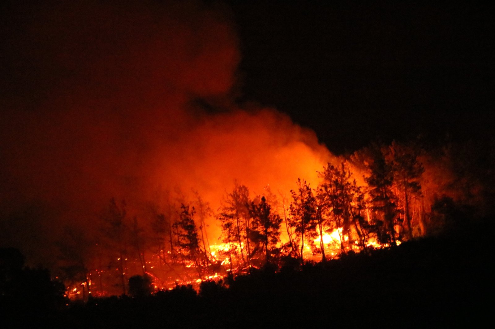 Flames engulf a forest in the Gündoğdu neighborhood of Manavgat district, in Antalya, southern Turkey, Aug. 2, 2021. (DHA PHOTO)