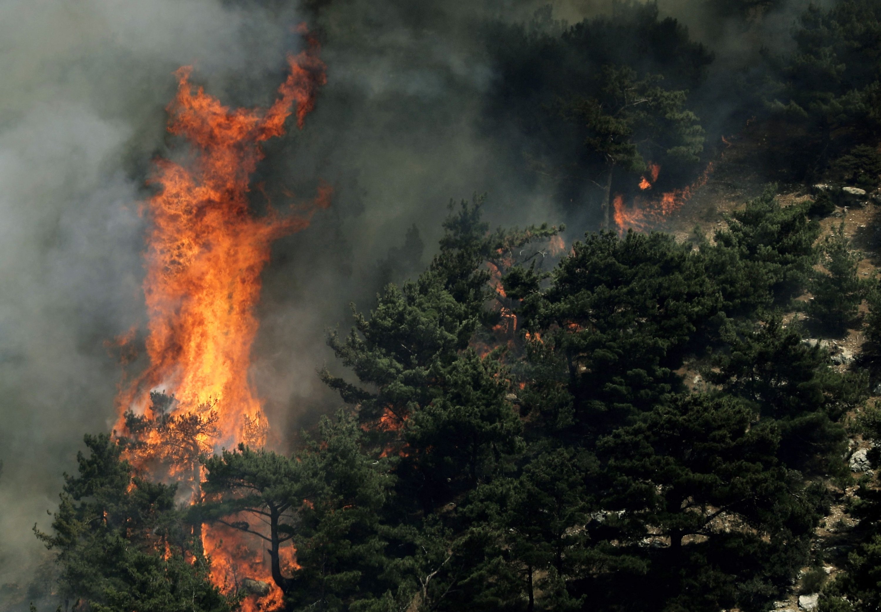  Wildfires spread in the forests of the Qubayyat area in northern Lebanon