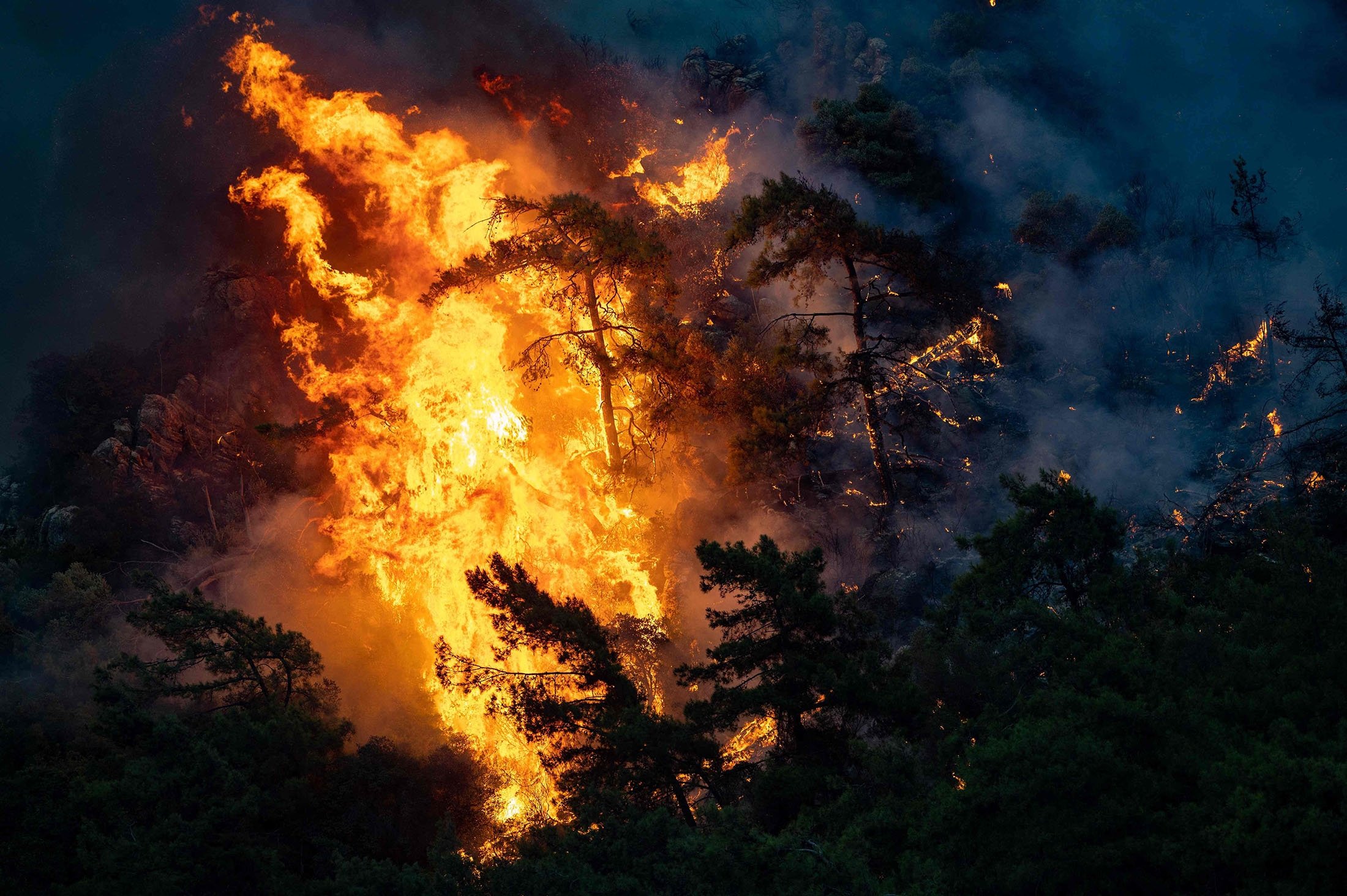 A wildfire burns trees in Marmaris, where firefighters have been battling a week of violent blazes that have killed eight people, Muğla, Turkey, Aug. 2, 2021. (AFP Photo)