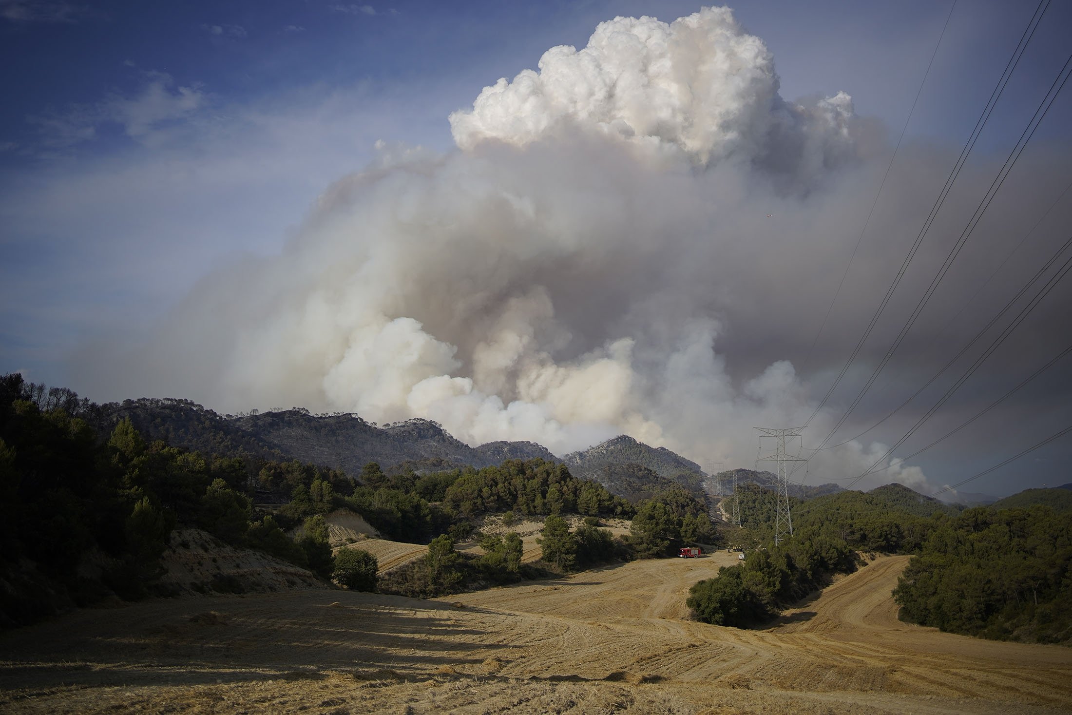A wildfire burns trees in Santa Coloma de Queralt, near Tarragona, Spain, July 25, 2021. (AP Photo)