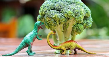 Toy dinosaurs appear to be eating from a broccoli tree. (Shutterstock Photo)