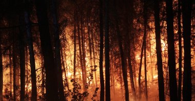 Flames engulf trees in the Muratlar neighborhood of Menteşe district, in Muğla, southwestern Turkey, Aug. 4, 2021. (İHA PHOTO)
