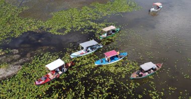 An aerial view shows boat tours weaving their way through water lily “farms” on Lake Işıklı in Denizli, Turkey, Aug. 1, 2021. (AA Photo)