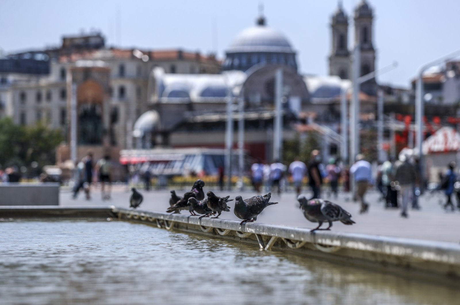 Pigeons rest by a pond at Taksim Square, in Istanbul, Turkey, Aug. 1, 2021. (AA PHOTO) 