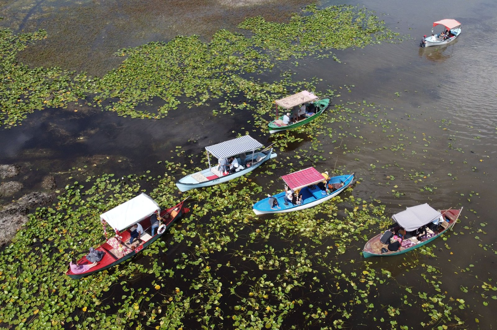 An aerial view shows boat tours weaving their way through water lily “farms” on Lake Işıklı in Denizli, Turkey, Aug. 1, 2021. (AA Photo)