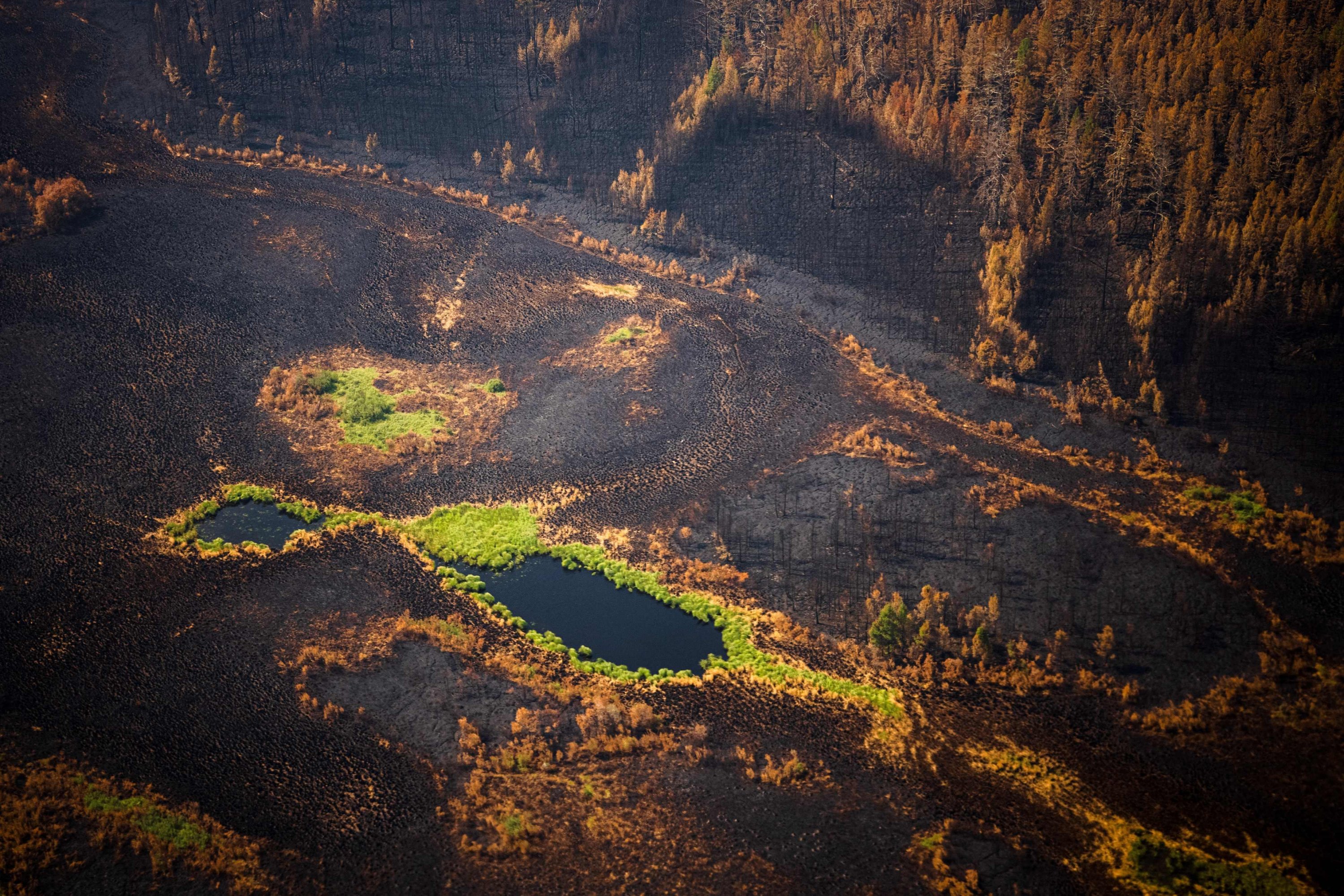 An aerial view of a burned forest at the Gorny Ulus area west of Yakutsk, in the Republic of Sakha, Siberia, Russia, July 27, 2021. (AFP Photo)