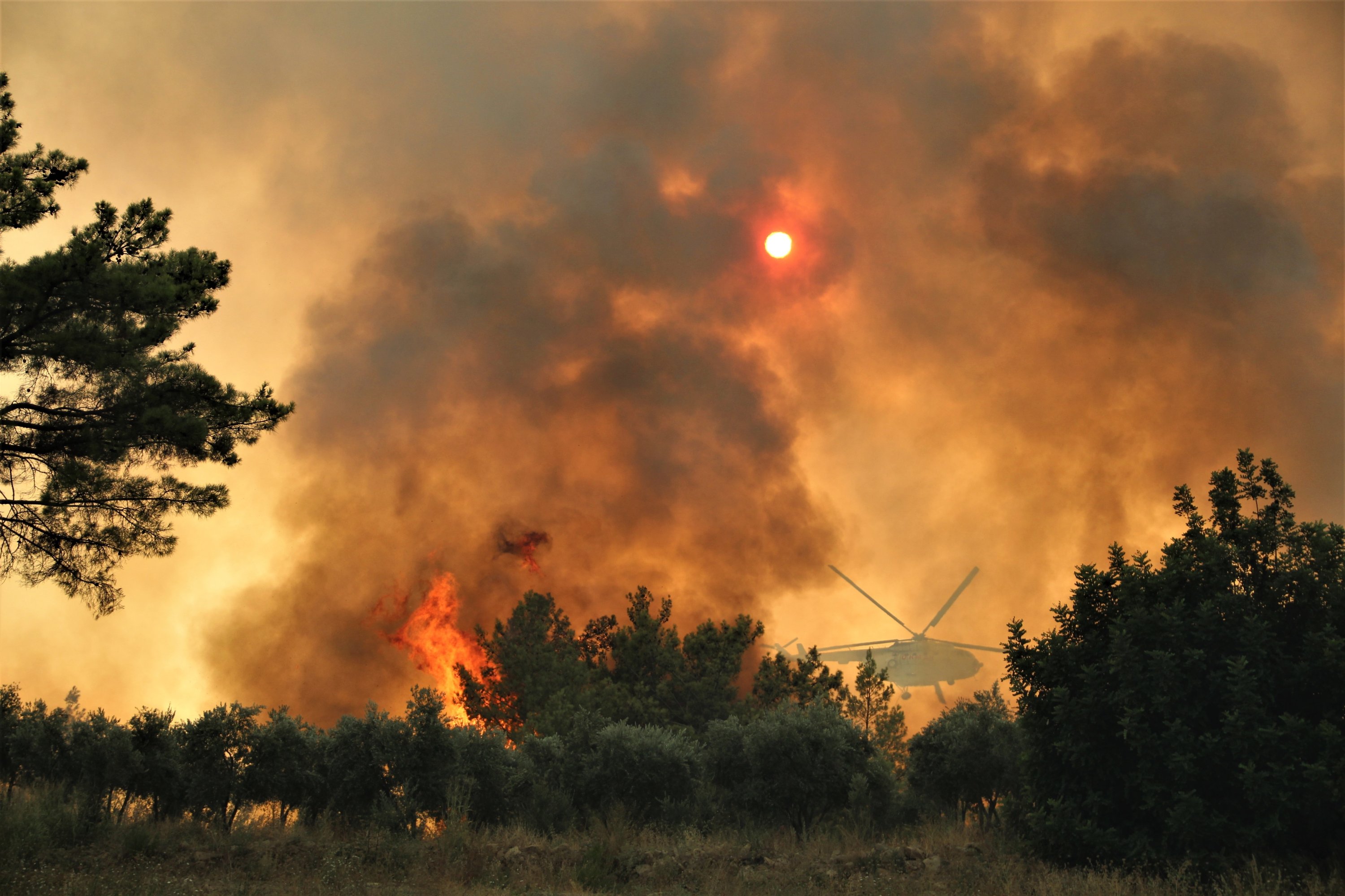 Forest fires take hold across Turkey’s south as more evacuate Daily Sabah