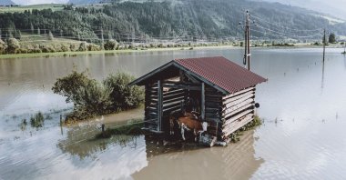 Cows stand in a shed at an overflooded meadow in Kaprun, Austria, July 19, 2021. (AFP Photo)