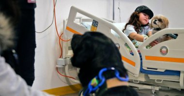 Therapy dogs Morron (C) and Pipa are seen at the Exequiel Gonzalez Pediatrics Hospital during a session with a girl who will undergo surgery in Santiago, Chile, July 28, 2021. (AFP Photo)