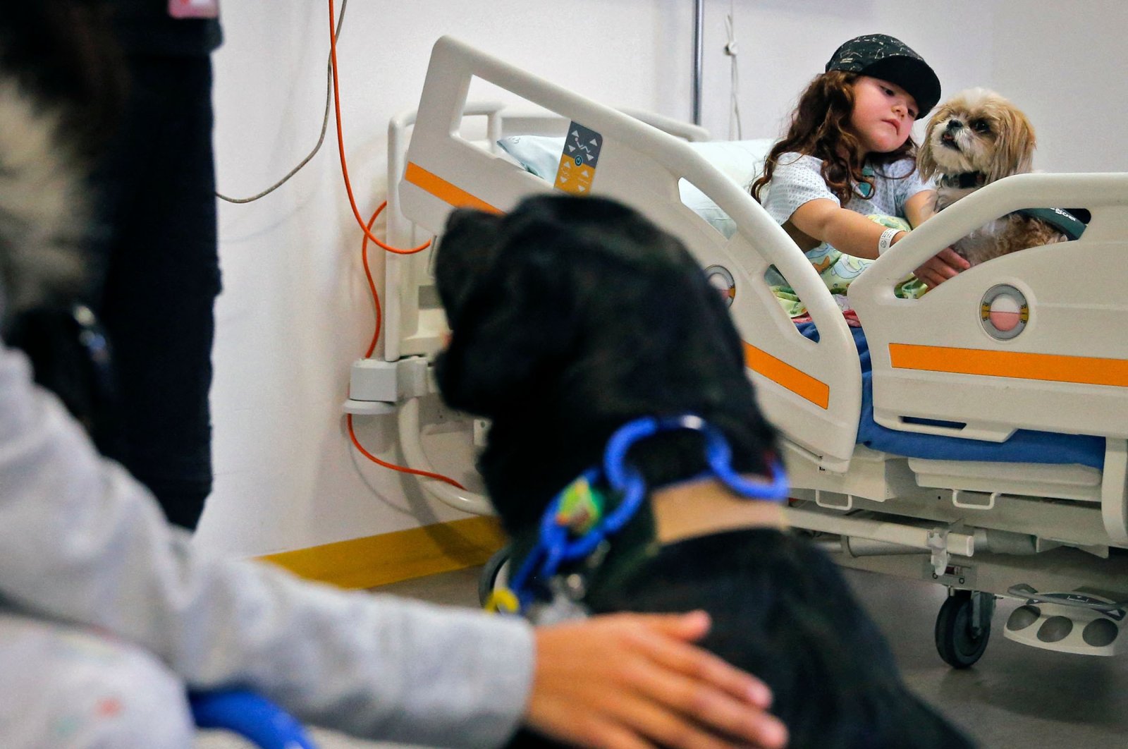 Therapy dogs Morron (C) and Pipa are seen at the Exequiel Gonzalez Pediatrics Hospital during a session with a girl who will undergo surgery in Santiago, Chile, July 28, 2021. (AFP Photo)
