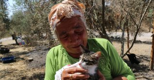 Fatma Duysak pets her cat "Hayat" who recovered after suffering injuries due to the wildfire, in Aladağ district, in Adana, southern Turkey, Aug. 6, 2021. (AA PHOTO)