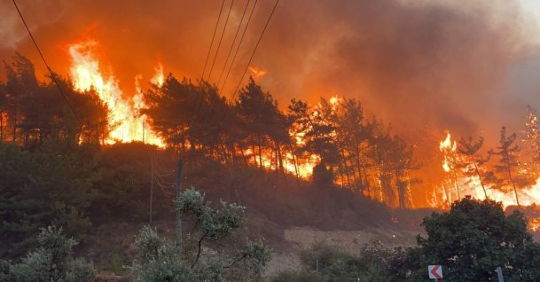 Flames engulf a forest in Muğla, southwestern Turkey, Aug. 6, 2021. (İHA Photo)