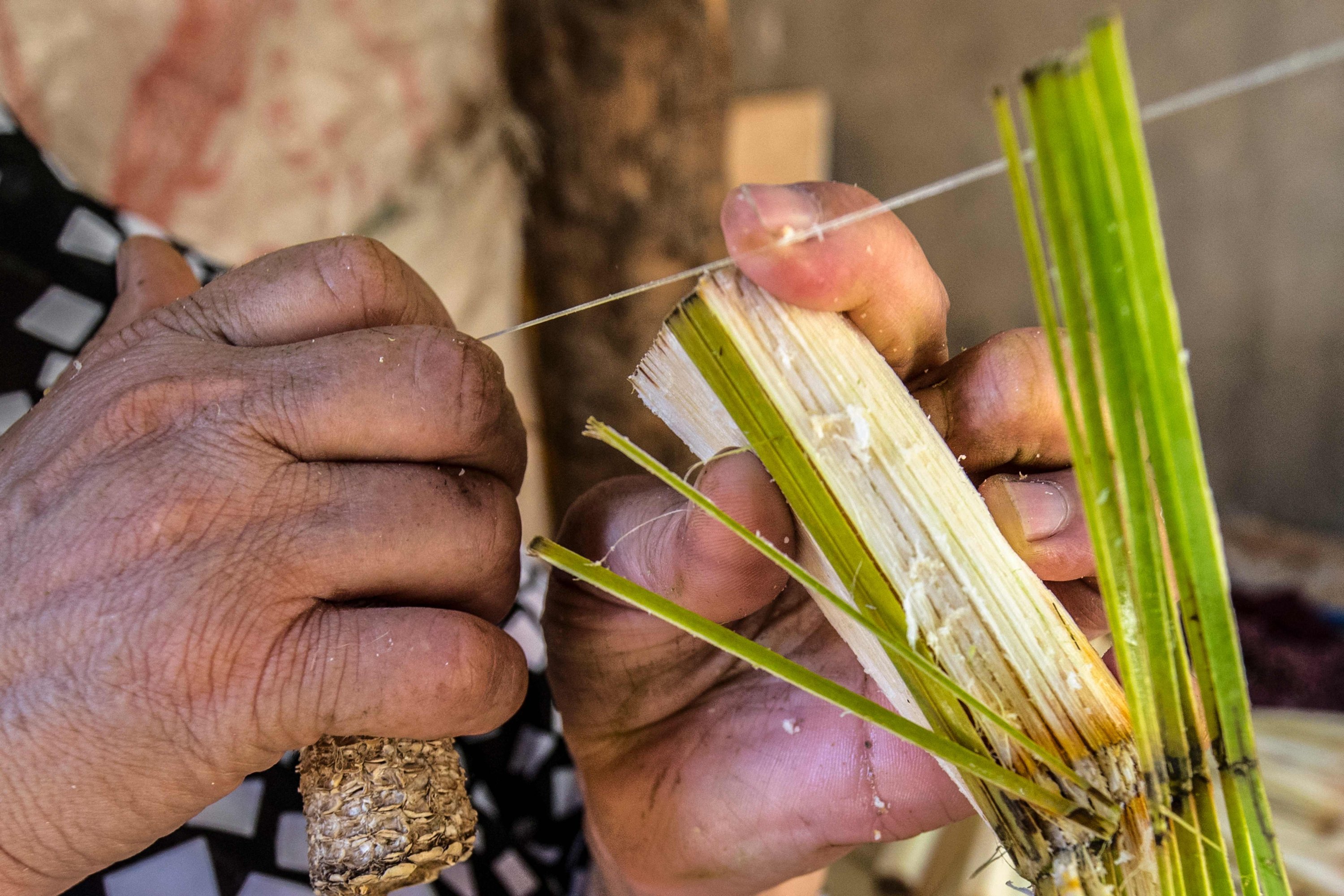 Egyptian villagers sustain tradition of papyrus making | Daily Sabah