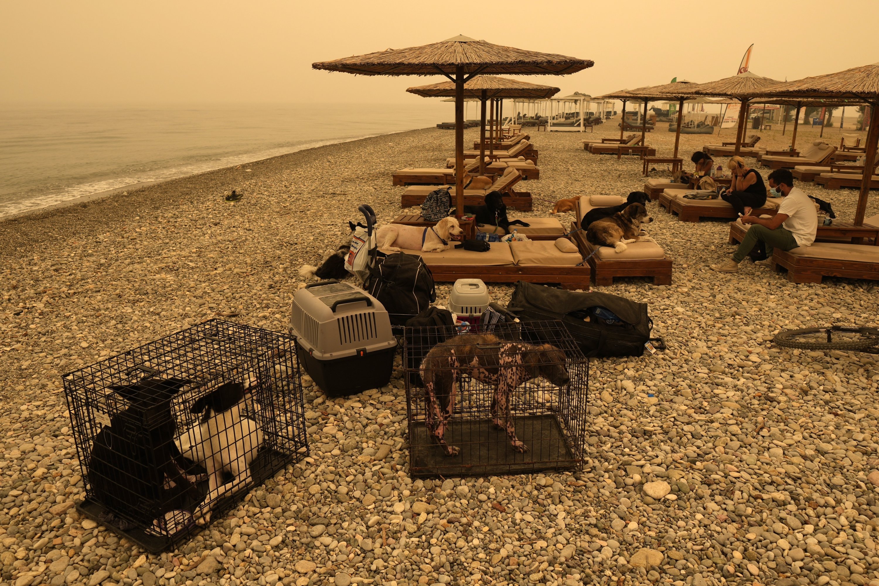 People and pets gather on the beach during a wildfire at Pefki village on Evia island, about 189 kilometers (118 miles) north of Athens, Greece, Aug. 9, 2021. (AP Photo)