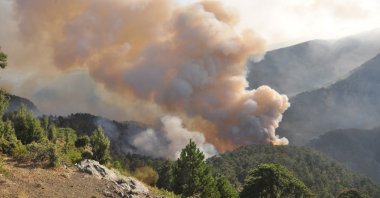 Smoke rising over a burning forest, in Köyceğiz district, in Muğla, southwestern Turkey, Aug. 9, 2021. (AA PHOTO) 