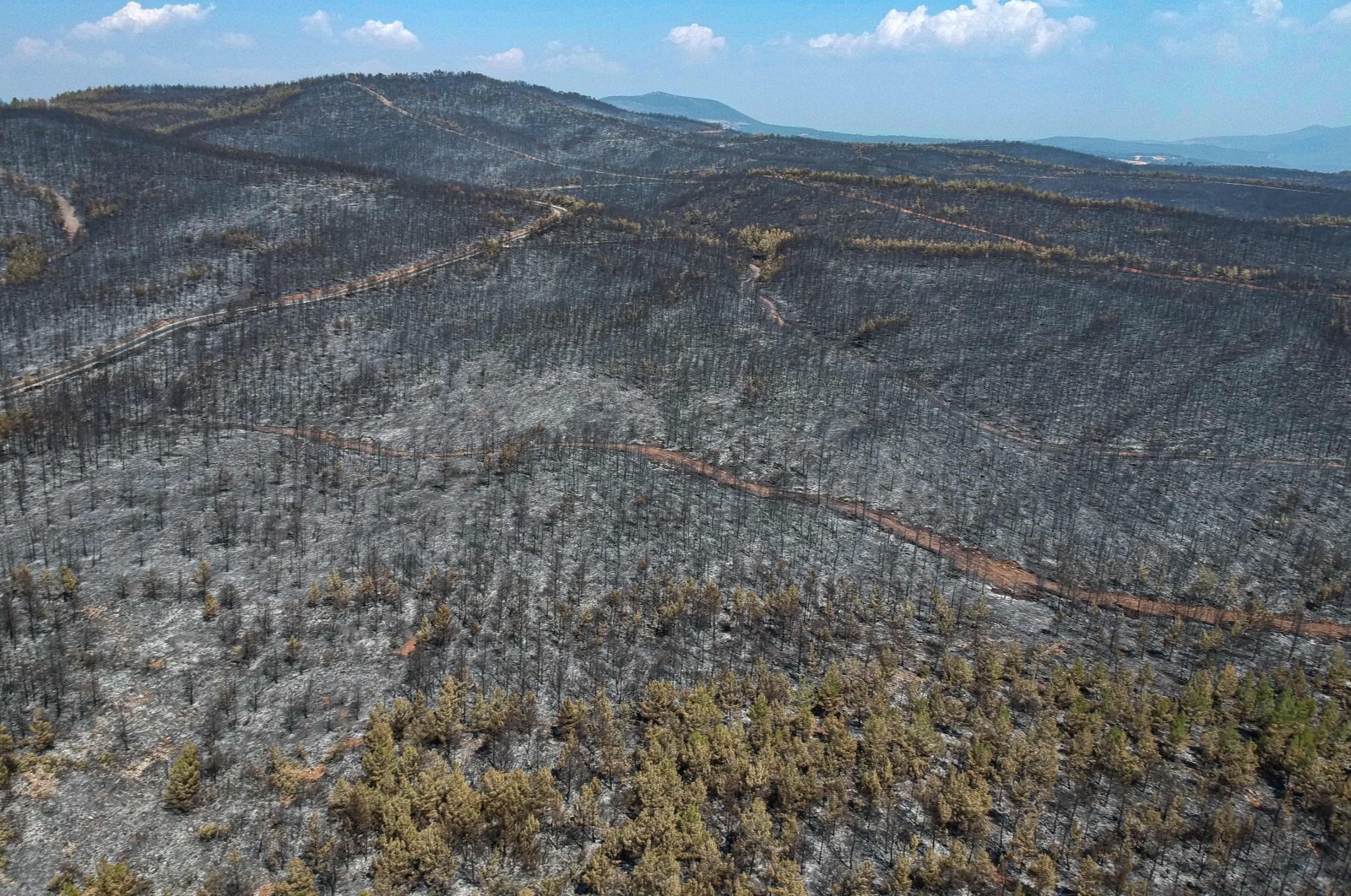 A ravaged area and burnt trees in Muğla district, southern Turkey, Aug. 7, 2021. (AFP Photo)