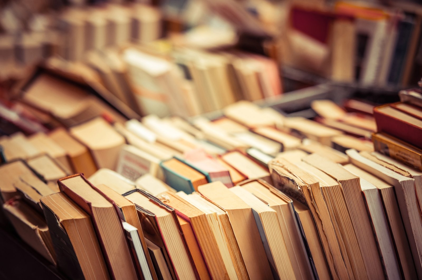 A book checked out a half-century ago has been anonymously returned to a library in northeastern Pennsylvania. (Shutterstock Photo)