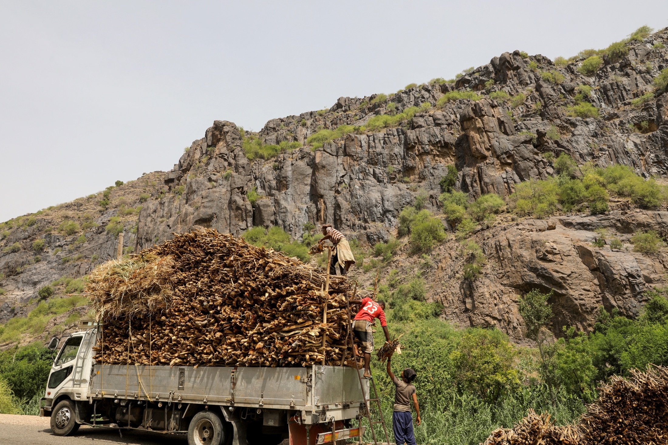 Lumberjacks load bundles of firewood onto a truck in Khamis Banisaad district of al-Mahweet province, Yemen, June 24, 2021. (Reuters Photo)