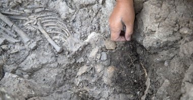 An archaeologist inspects the remains of a skeleton during excavations at the Tozkoparan Mound site in Tunceli, Turkey, Aug. 11, 2021. (AA Photo)