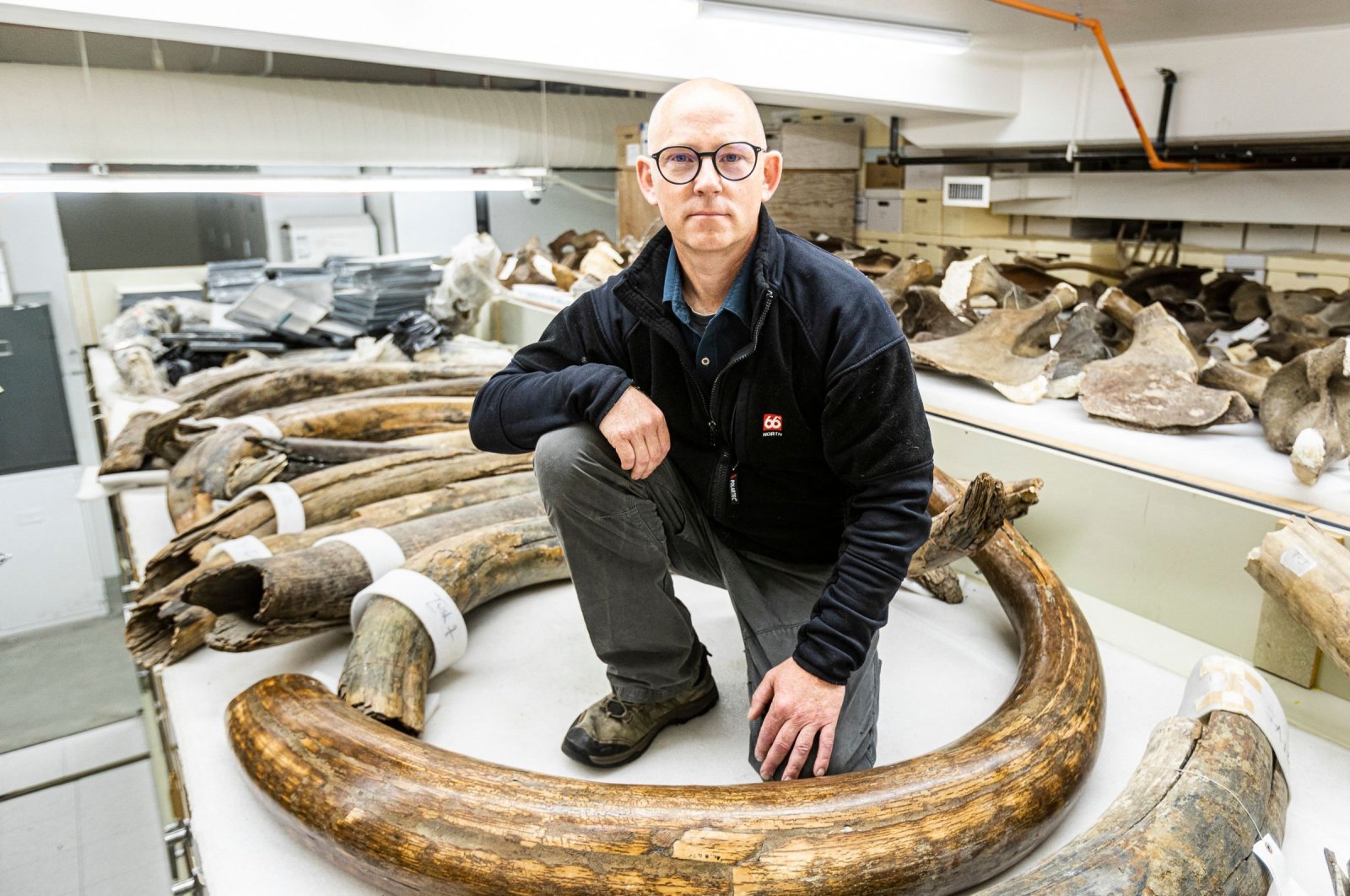 Mat Wooller, director of the Alaska Stable Isotope Facility, kneels among a collection of mammoth tusks at the University of Alaska Museum of the North, August 12, 2021. (Photo by JR ANCHETA / University of Alaska Fairbanks via AFP)
