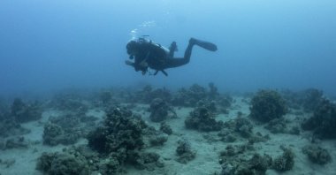 A scuba diver swims under  the Europe-Asia Pipeline Company (EAPC) oil jetty in Israel's southern city of Eilat, Thursday, Aug, 5. 2021. (AP Photo)