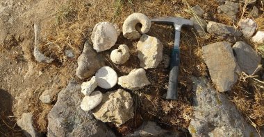 Fossils unearthed in Muş, eastern Turkey, Aug. 14, 2021. (IHA Photo)