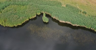 Located in the foothills of Aras Mountain of Iğdır's Tuzluca District, Üçkaya Lake attracts visitors with its outstanding flora. (AA Photo)