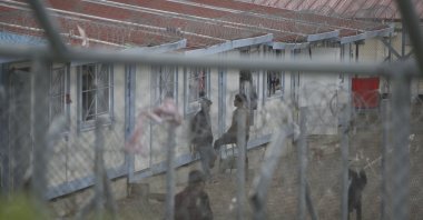 Migrants who were arrested after crossing illegally from Turkey to Greece stand behind a fence at a detention center near the village of Fylakio, at the Greek-Turkish border, Greece, May 21, 2021. (AP File Photo)
