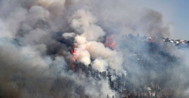 Smoke billows from a forest fire at the Jerusalem mountains near the village of Moshav Shoresh, Israel, Aug. 16, 2021. (AFP Photo)