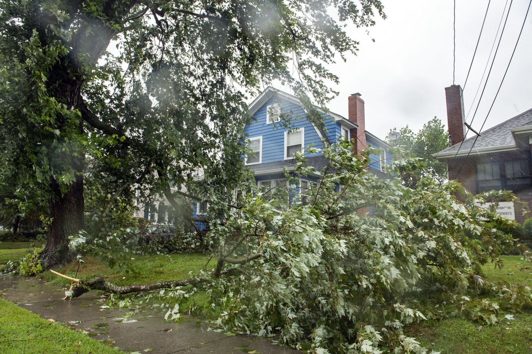 Tropical Storm Henri batters US' East Coast | Daily Sabah