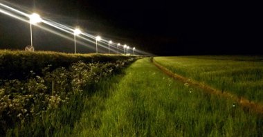 This undated image courtesy of Douglas Boyes shows white LED street lights along a rural road. The lights also illuminate the adjacent hedgerows and grass margins in Tackley, Oxfordshire, United Kingdom. (Photo by Douglas Boyes/www.douglasboyes.co.uk/AFP)