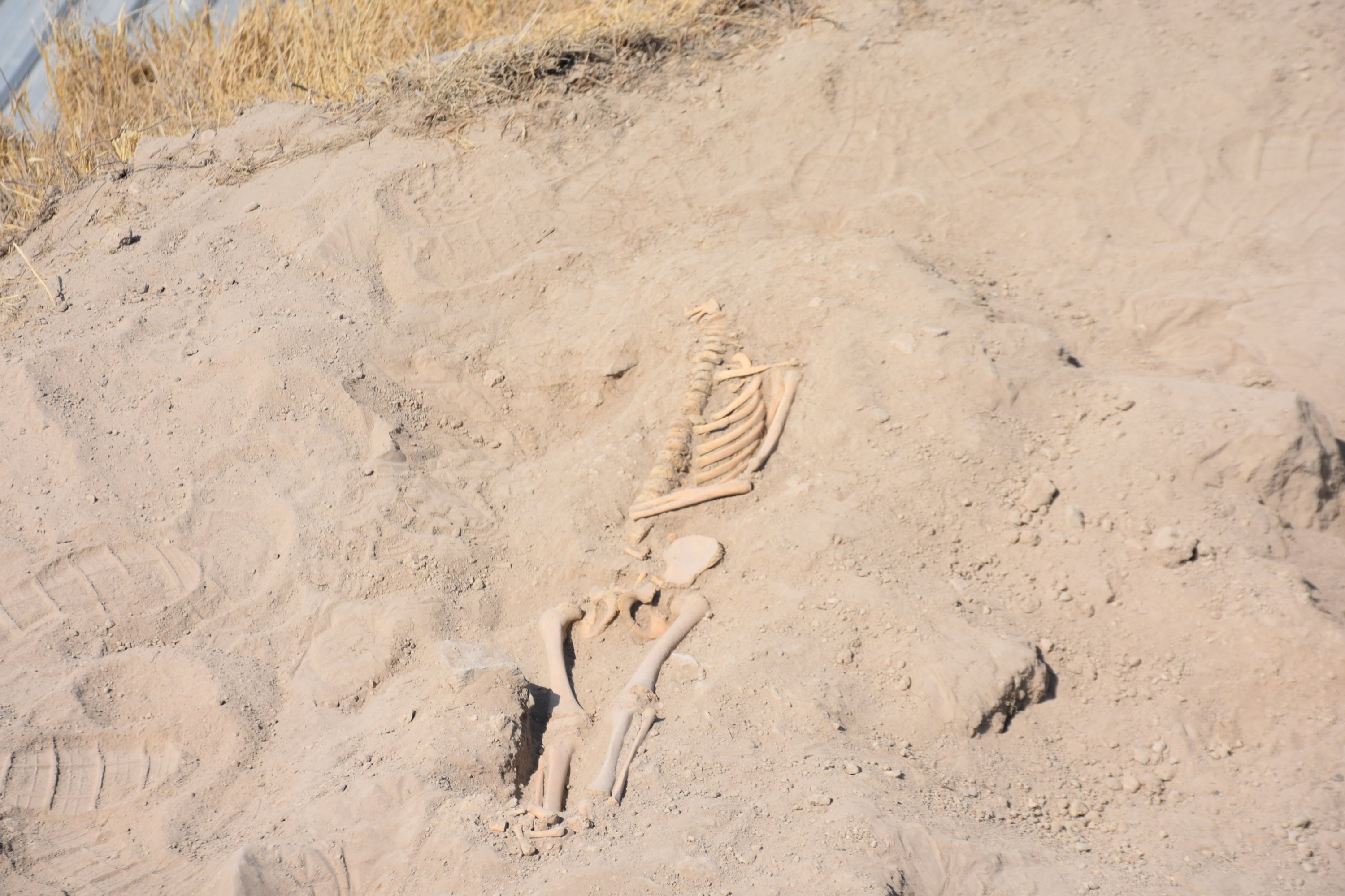 A view from a burial site in the archaeological site of Arslantepe, Malatya, eastern Turkey, Aug. 18, 2021. (DHA Photo)