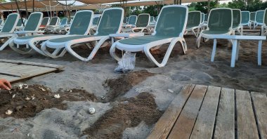 A view of broken turtle eggs under the walkway, in Belek, Antalya, southern Turkey, Aug. 27, 2021. (DHA PHOTO)